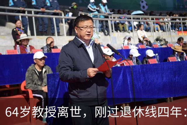 64岁教授离世，刚过退休线四年：又一位学者没能等到自己的"下半场"
